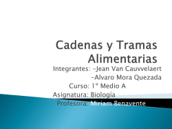 Cadenas y Tramas Alimentarias 82KB Nov 11 2015