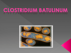 clostridium batulinum - FCQ-InocuidadeAlimentos