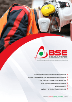 Brochure - ABSE Consultores