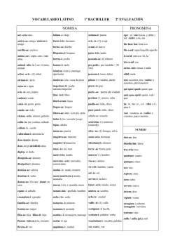 vocabulario latino 1º bachiller 2ª evaluación nomina pronomina