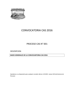 convocatoria cas 2016 - Municipalidad de Punta Negra