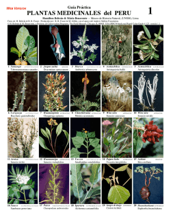 123 Medicinal Plants-Peru 1