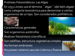 + 10° Las Algas