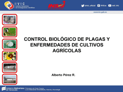 Control Biologico