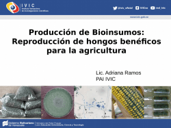 Producción de Bioinsumos