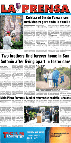 Two brothers find forever home in San Antonio