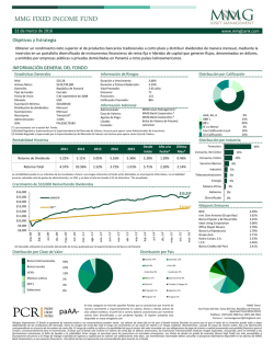 mmg fixed income fund