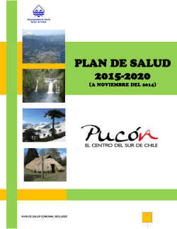 plan de salud 2015-2020 - Municipalidad de Pucón