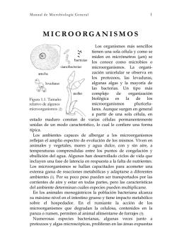 1 mgral - MICROBIOTA - Bibliografía sobre microbiología