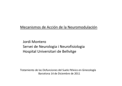 Mecanismos de Acción de la Neuromodulación Jordi Montero