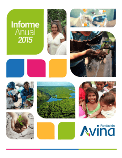Informe - Fundación Avina.