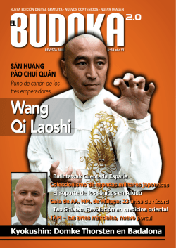 Wang Qi Laoshi - El Budoka 2.0