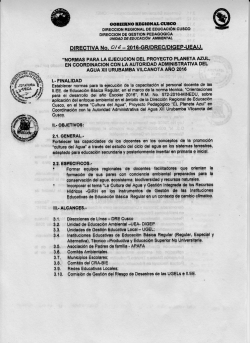 directiva n°016 - Dirección Regional de Educación Cusco