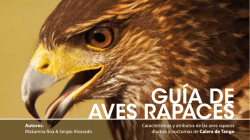 Guias de Aves rapaces de Chile pdf