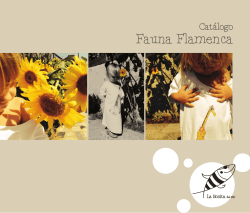 Fauna Flamenca - La Bonita del Sur
