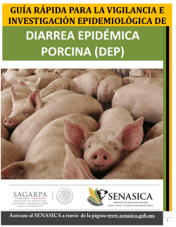 diarrea epidémica porcina (dep)