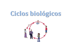 Ciclos biológicos