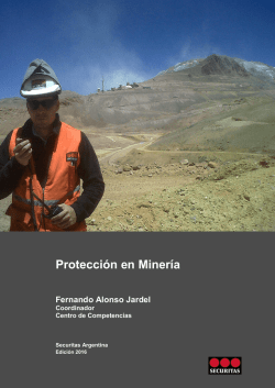Manual Protección en Minería
