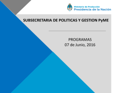 SUBSECRETARIA DE POLITICAS Y GESTION PyME