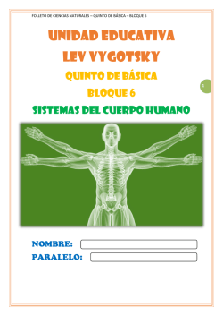 El aparato digestivo humano - Unidad Educativa Lev Vygotsky