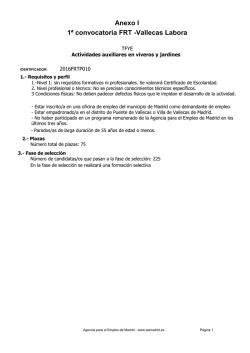 Anexo I convocatoria Vallecas Labora 2 PDF, 115 Kbytes