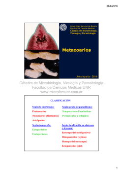 Metazoarios - Cátedra de Microbiología, Virología y Parasitología