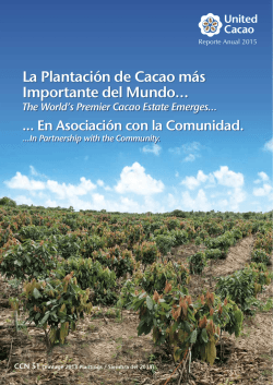 La Plantación de Cacao más Importante del Mundo…
