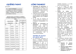 Tríptico Patente Comercial - Municipalidad de Caaguazu