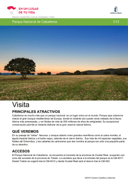 Descargar Guía de Viaje - Turismo de Castilla La Mancha