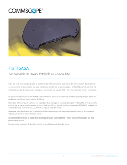 FIST-FSASA - Sub-ensamble de Divisor