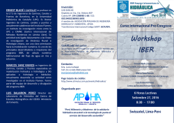 Workshop IBER - XXVII Congreso Latinoamericano de Hidráulica