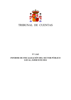 TRIB CUENTAS.Informe 1163-2016.Sector público local 2014