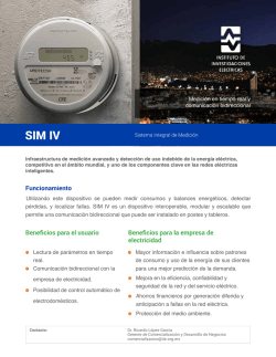 SIM IV