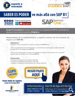 temario_Academia SAP_2016
