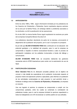 resumen ejecutivo - Intranet - Ministerio de Energía Minas