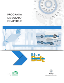 Blue Belt - Quality Consulting