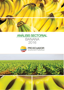 banana 2016 - Pro Ecuador