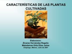 Diapositiva 1 - Elías Jaime Matadamas Ortiz UNIVERSIDAD