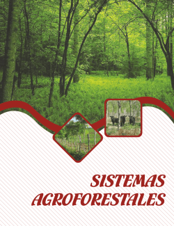 sistemas_agroforestales - Universidad Autónoma del Estado de