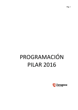 programación pilar 2016