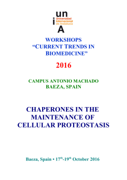 chaperones in the maintenance of cellular proteostasis
