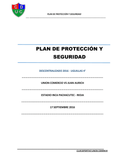 PLAN DE PROTECCIÓN Y SEGURIDAD