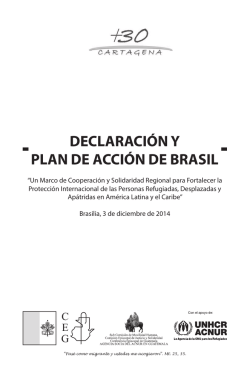 declaración y plan de acción de brasil