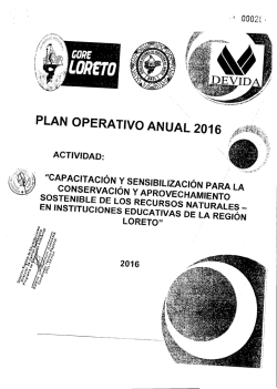 plan operativo anual 2016