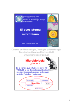 Microbiología - Cátedra de Microbiología, Virología y Parasitología