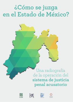 ¿Cómo se juzga en el Estado de México?