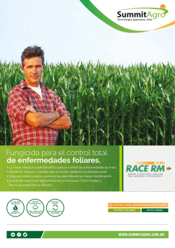 manual race rm maíz