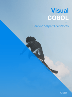 Visual COBOL - Micro Focus