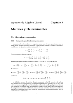 Capítulo 3. Matrices y Determinantes