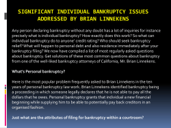 Significant Individual bankruptcy Issues Addressed By Brian Linnekens